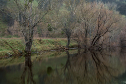 Sutter Buttes portfolio