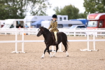 Class 408 - Grassroots Ridden - Walk & Trot portfolio