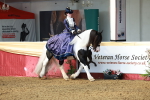 SBM_13731