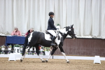 SBM_01378