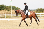 SBM_002615