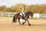 SBM_000947
