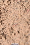 230314A-115318-01150