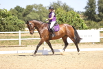 SBM_011964
