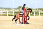 SBM_007233