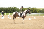 SBM_008672
