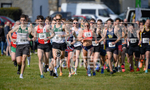 Keith Falla Memorial XC 2023-14