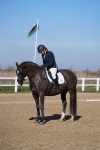 SBM_001881