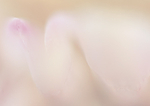 theme 5 week 4: WHISPERS