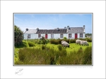 01 9x12 2021-507C traditional Cottages Achill Island Co Mayo