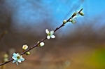 20120311-_MG_9401-1022