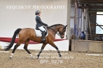 BPP_9278