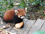 CHINA__0098