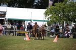 SBM_15328
