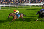 111024-Race 5-Vince LAmour-2012
