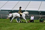 SBM_03717