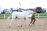 SBM_04499