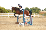 SBM_002006