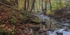 Autumn along Blackpool Brook