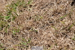 260731A-123158-01190