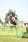SBM_03939