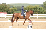 SBM_007495