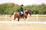 SBM_008753