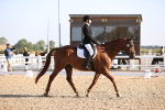 SBM_01611