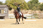 SBM_002542