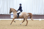 SBM_001682