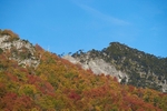 Autumn in Conguillio National Park