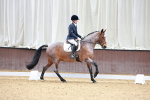 SBM_000667