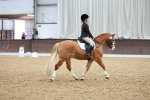 SBM_002171