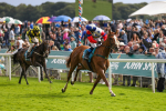 150723-Race 6-Robert Johnson-8880