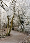 path