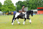 SBM_01016