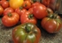 Tomato Sauce-3