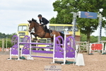 Cls 19 Snr Foxhunter and 1.20m Open portfolio