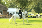 SBM_62398