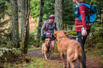 Glentress-2407