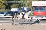 BPP_8273