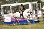 SBM_16230