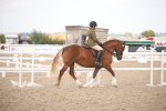 SBM_08758