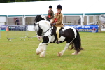 SBM_02646
