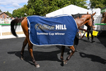 010826-Race 2-Witch Hunter-2534