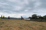 DSCF0876