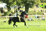 SBM_39108