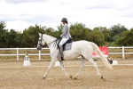 SBM_006550