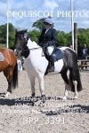BPP_3391