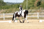 SBM_001591
